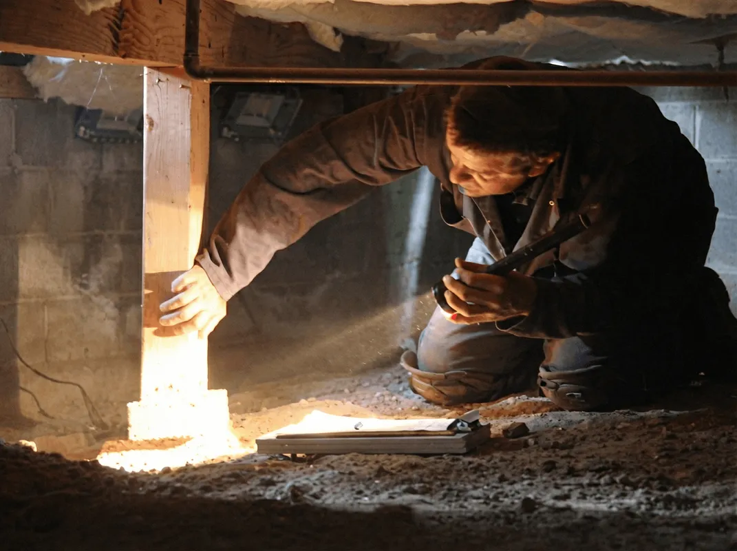 A professional inspecting wooden beams under the floor of a structure in Reno, NV